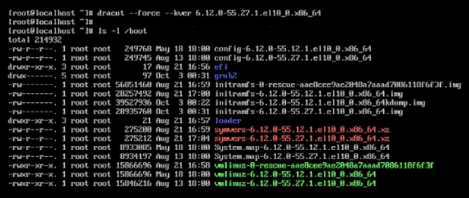 [ls-boot-kernel-panic-resolve-dracut.webp]