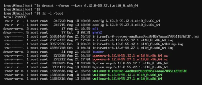 [ls-boot-kernel-panic-resolve-dracut.webp]