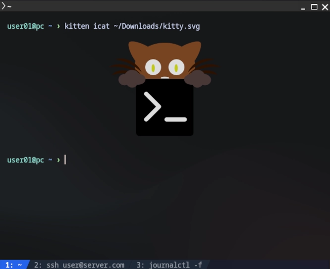 kitty.webp