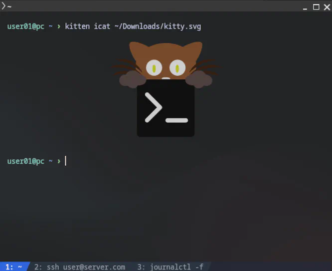 kitty.webp