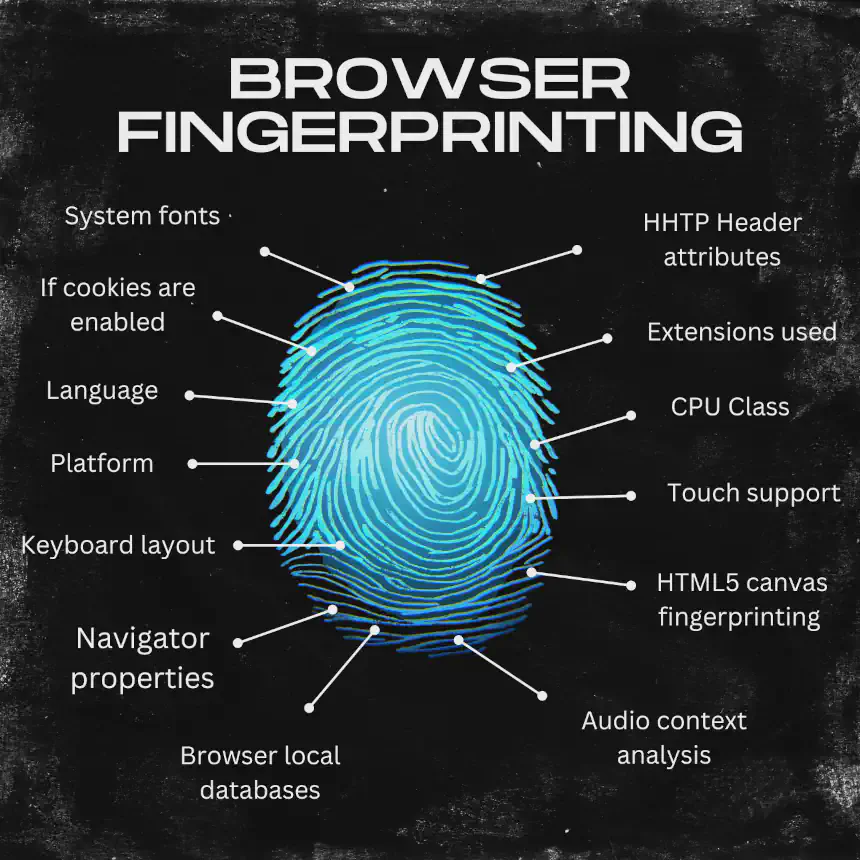 what-is-fingerprint.webp