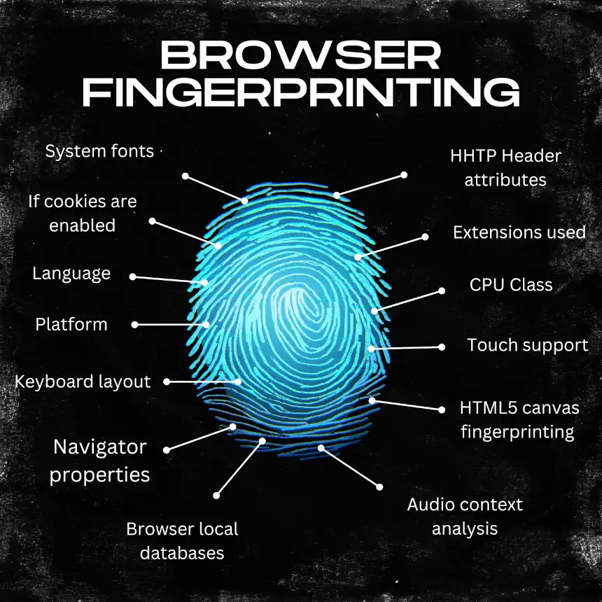 what-is-fingerprint.webp