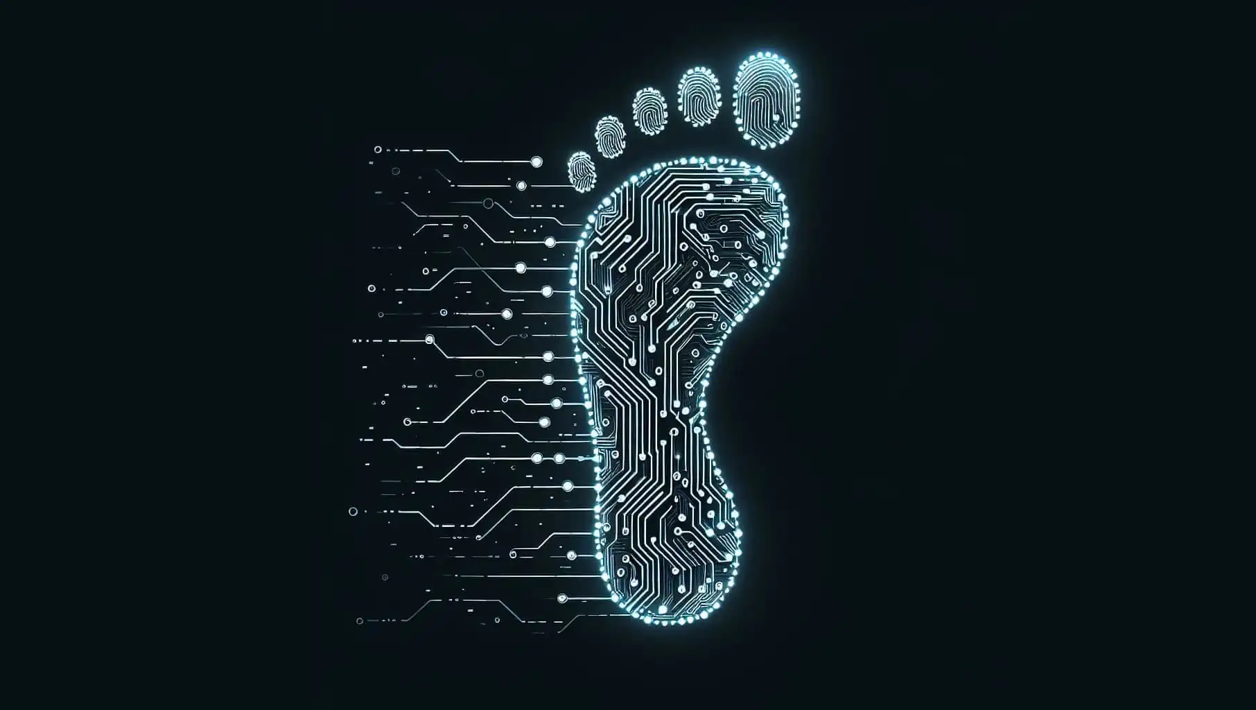 digital-footprint-intro.webp