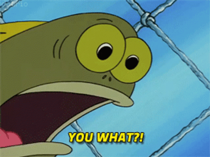 spongebob-what.gif